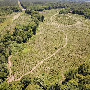 Photo #5 of Off of Spring Church Road, Skippers, VA 43.0 acres