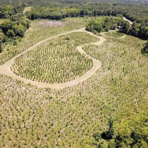 Photo #6 of Off of Spring Church Road, Skippers, VA 43.0 acres