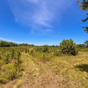 Photo #7 of Off of Spring Church Road, Skippers, VA 43.0 acres