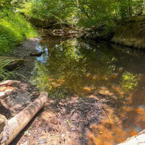 Photo #11 of Off of Spring Church Road, Skippers, VA 43.0 acres