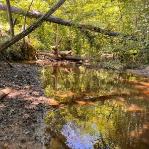 Photo #15 of Off of Spring Church Road, Skippers, VA 43.0 acres