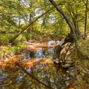 Photo #16 of Off of Spring Church Road, Skippers, VA 43.0 acres