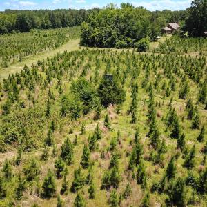 Photo #17 of Off of Spring Church Road, Skippers, VA 43.0 acres