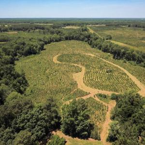 Photo #1 of Off of Spring Church Road, Skippers, VA 43.0 acres