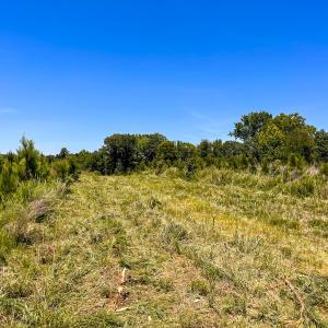 Photo #22 of Off of Spring Church Road, Skippers, VA 43.0 acres
