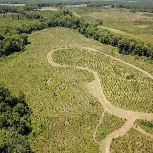 Photo #25 of Off of Spring Church Road, Skippers, VA 43.0 acres