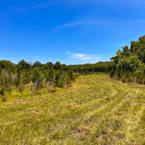 Photo #28 of Off of Spring Church Road, Skippers, VA 43.0 acres