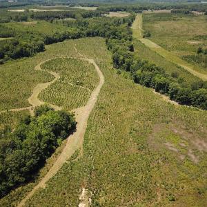 Photo #29 of Off of Spring Church Road, Skippers, VA 43.0 acres