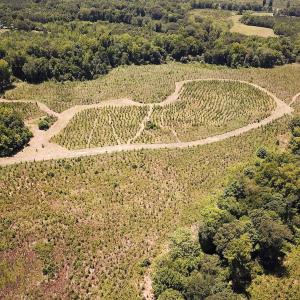 Photo #30 of Off of Spring Church Road, Skippers, VA 43.0 acres