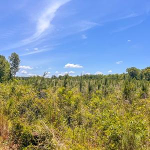 Photo #32 of Off of Spring Church Road, Skippers, VA 43.0 acres
