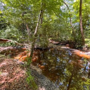Photo #33 of Off of Spring Church Road, Skippers, VA 43.0 acres