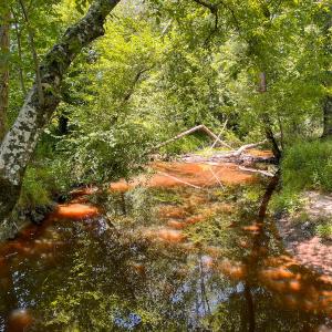 Photo #34 of Off of Spring Church Road, Skippers, VA 43.0 acres
