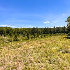Photo #37 of Off of Spring Church Road, Skippers, VA 43.0 acres