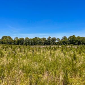 Photo #39 of Off of Spring Church Road, Skippers, VA 43.0 acres