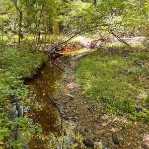 Photo #40 of Off of Spring Church Road, Skippers, VA 43.0 acres