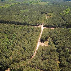 Photo #2 of Off of Moore's Ferry Road, Skippers, VA 145.0 acres