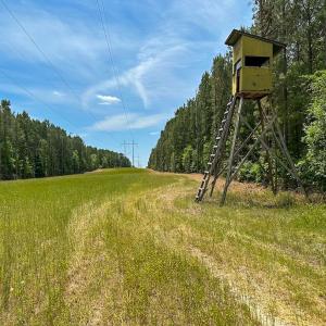 Photo #3 of Off of Moore's Ferry Road, Skippers, VA 145.0 acres