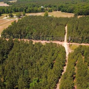 Photo #4 of Off of Moore's Ferry Road, Skippers, VA 145.0 acres