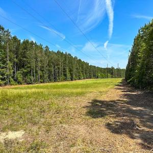 Photo #6 of Off of Moore's Ferry Road, Skippers, VA 145.0 acres