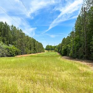 Photo #7 of Off of Moore's Ferry Road, Skippers, VA 145.0 acres