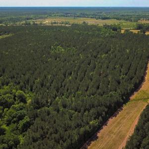 Photo #8 of Off of Moore's Ferry Road, Skippers, VA 145.0 acres