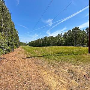 Photo #9 of Off of Moore's Ferry Road, Skippers, VA 145.0 acres