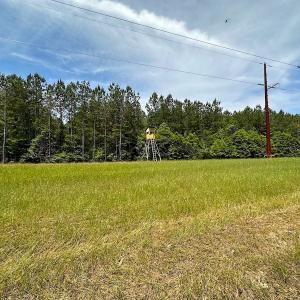 Photo #10 of Off of Moore's Ferry Road, Skippers, VA 145.0 acres