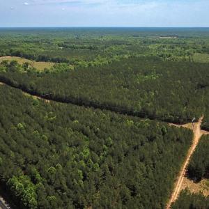 Photo #11 of Off of Moore's Ferry Road, Skippers, VA 145.0 acres