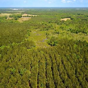 Photo #12 of Off of Moore's Ferry Road, Skippers, VA 145.0 acres