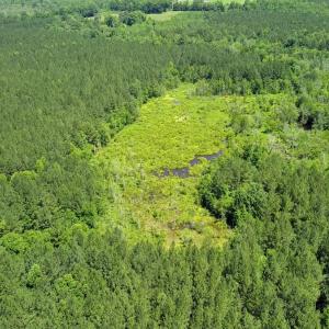 Photo #13 of Off of Moore's Ferry Road, Skippers, VA 145.0 acres