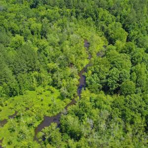 Photo #14 of Off of Moore's Ferry Road, Skippers, VA 145.0 acres