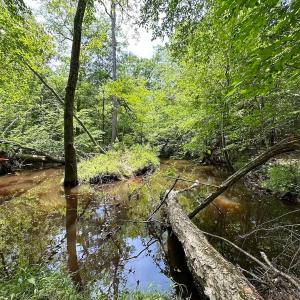 Photo #16 of Off of Moore's Ferry Road, Skippers, VA 145.0 acres