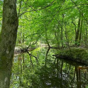Photo #17 of Off of Moore's Ferry Road, Skippers, VA 145.0 acres