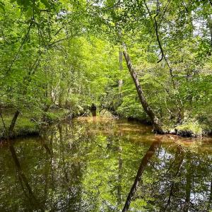 Photo #18 of Off of Moore's Ferry Road, Skippers, VA 145.0 acres
