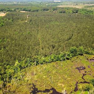 Photo #19 of Off of Moore's Ferry Road, Skippers, VA 145.0 acres