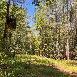 Photo #20 of Off of Moore's Ferry Road, Skippers, VA 145.0 acres