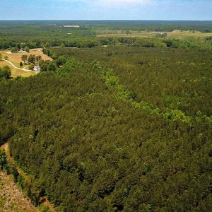 Photo #21 of Off of Moore's Ferry Road, Skippers, VA 145.0 acres