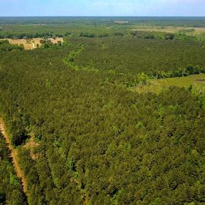 Photo #22 of Off of Moore's Ferry Road, Skippers, VA 145.0 acres
