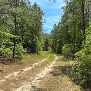 Photo #23 of Off of Moore's Ferry Road, Skippers, VA 145.0 acres