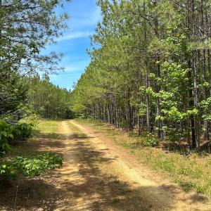Photo #24 of Off of Moore's Ferry Road, Skippers, VA 145.0 acres