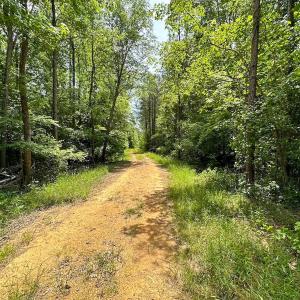 Photo #25 of Off of Moore's Ferry Road, Skippers, VA 145.0 acres