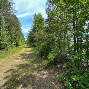 Photo #26 of Off of Moore's Ferry Road, Skippers, VA 145.0 acres