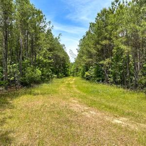 Photo #27 of Off of Moore's Ferry Road, Skippers, VA 145.0 acres