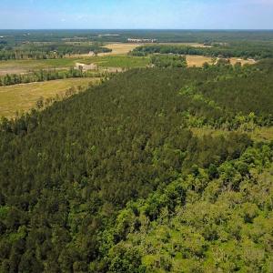 Photo #29 of Off of Moore's Ferry Road, Skippers, VA 145.0 acres