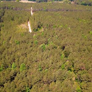 Photo #31 of Off of Moore's Ferry Road, Skippers, VA 145.0 acres