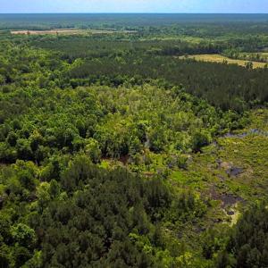 Photo #32 of Off of Moore's Ferry Road, Skippers, VA 145.0 acres