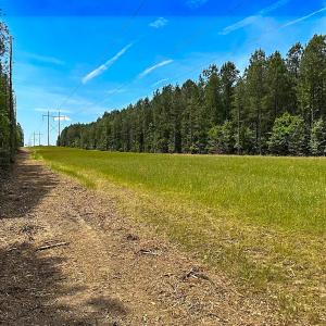 Photo #33 of Off of Moore's Ferry Road, Skippers, VA 145.0 acres