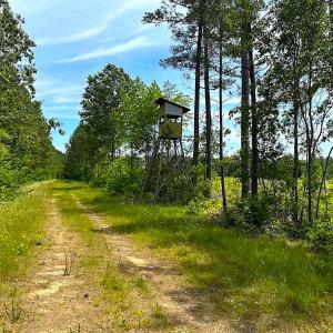 Photo #34 of Off of Moore's Ferry Road, Skippers, VA 145.0 acres