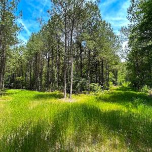 Photo #35 of Off of Moore's Ferry Road, Skippers, VA 145.0 acres