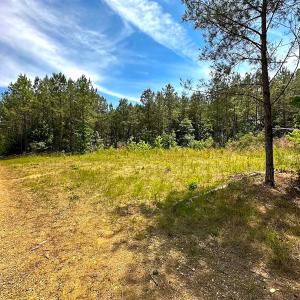 Photo #37 of Off of Moore's Ferry Road, Skippers, VA 145.0 acres